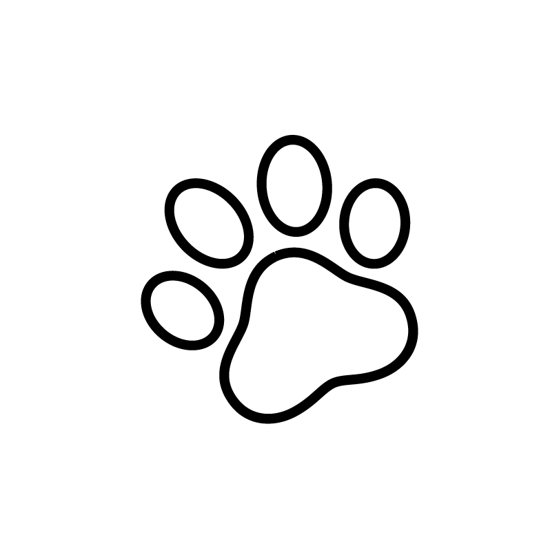 A paw print from a household pet such as a dog or a cat.